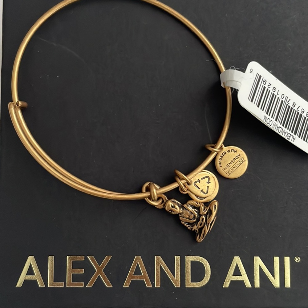 Alex And Ani bangle